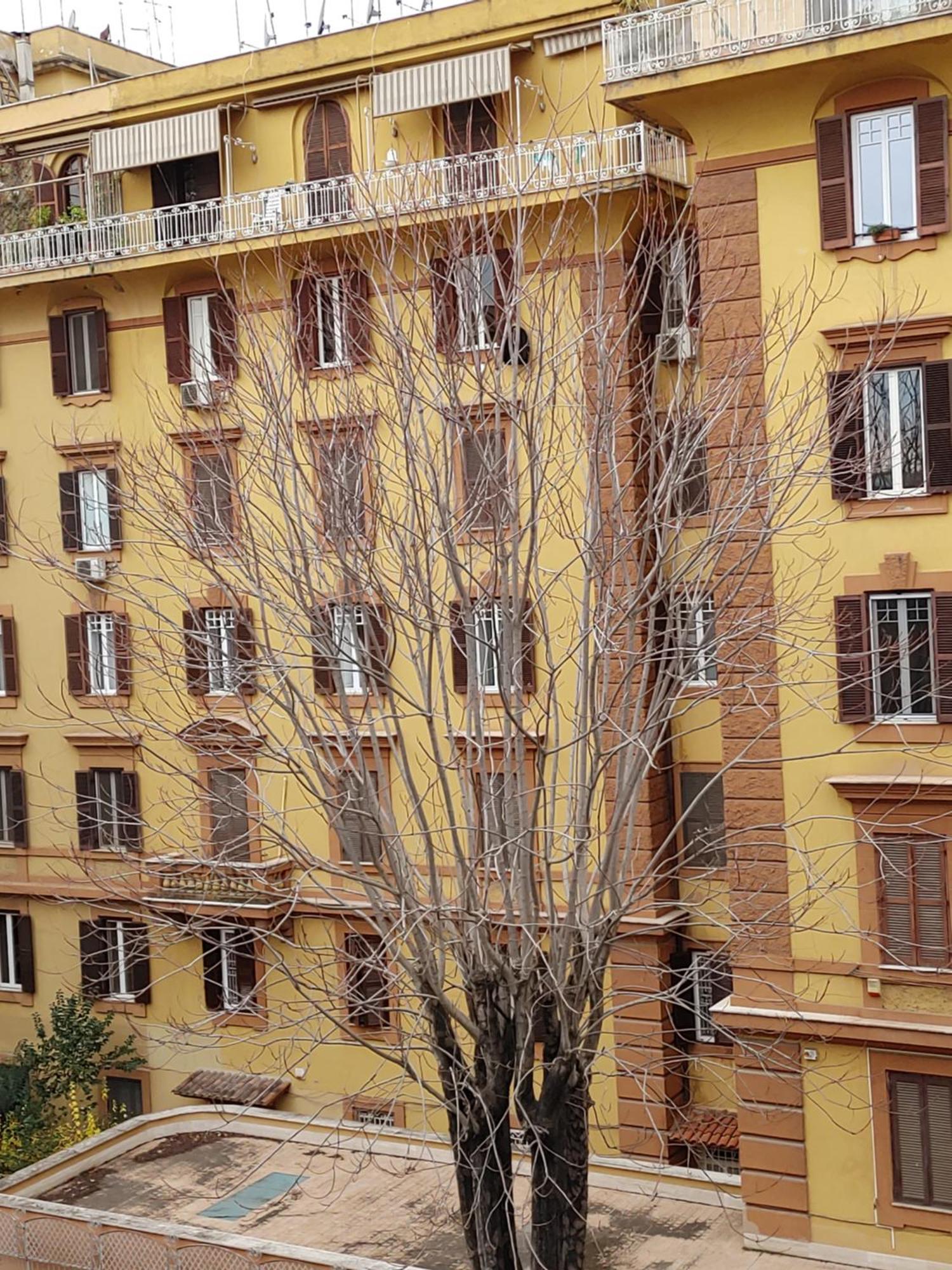 Studio Flat Trastevere Rom Exteriör bild